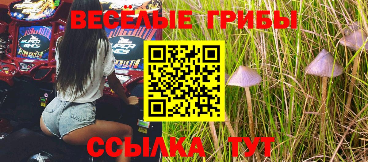 Сухой Лог  Псилоцибиновые грибы Psilocybe  хочу наркоту  Галлюциногенные грибы Magic Shrooms  Вход с VPN 