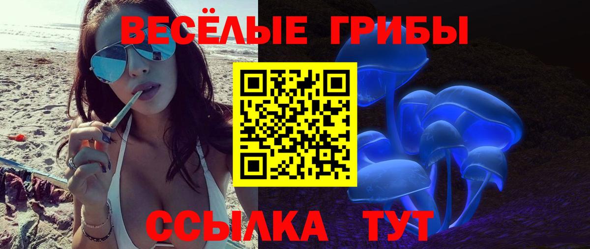 Галлюциногенные грибы Psilocybine cubensis Сухой Лог